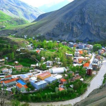 Çatak Marka Tescili