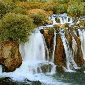 Muradiye Marka Tescili