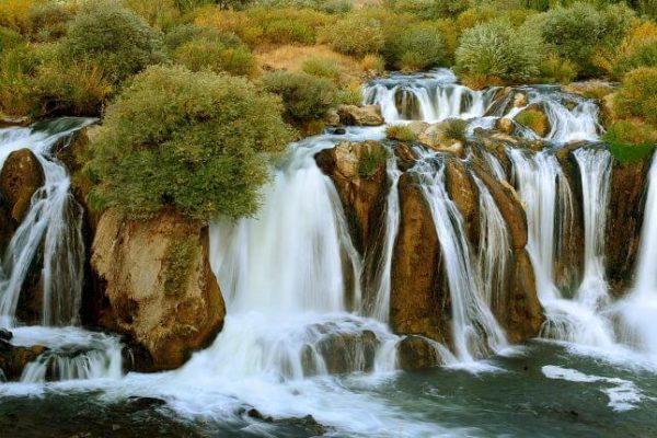 Muradiye Marka Tescili